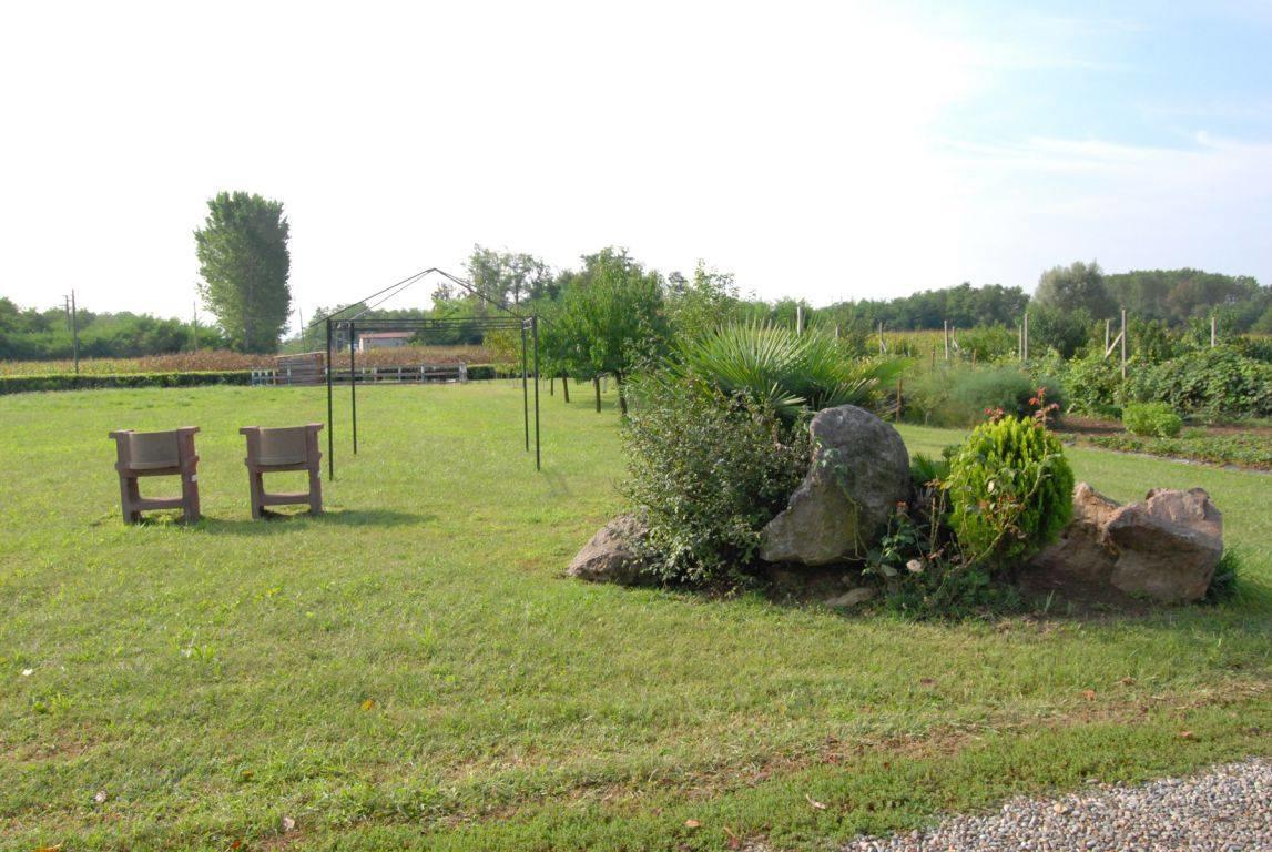 Agriturismo La Biandrina Carpignano Sesia Exterior foto