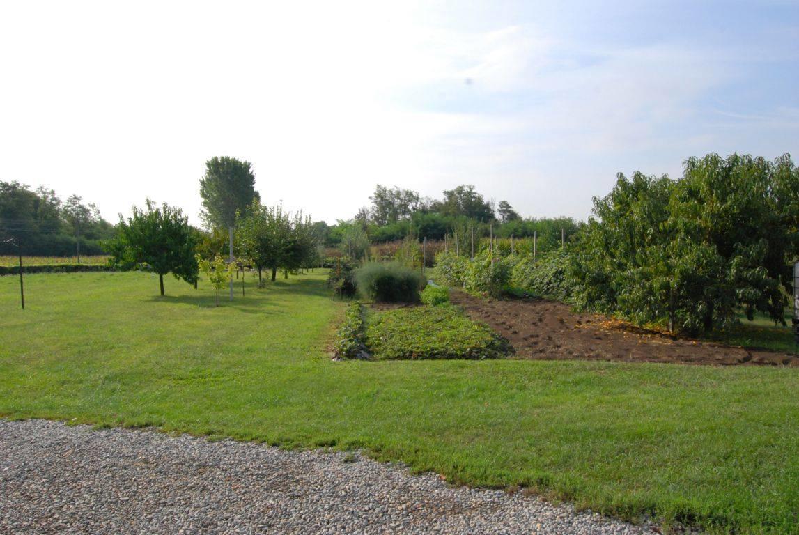 Agriturismo La Biandrina Carpignano Sesia Exterior foto