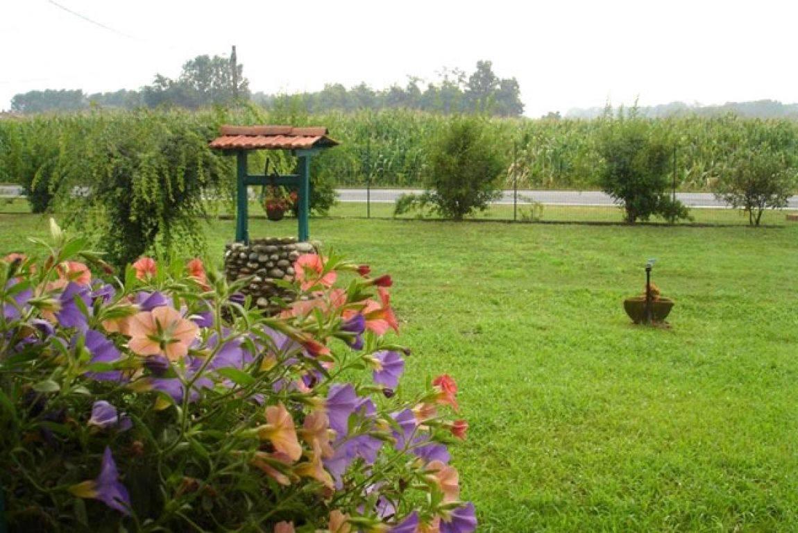 Agriturismo La Biandrina Carpignano Sesia Exterior foto